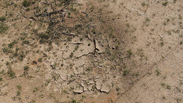 istock Climate change drought land. Global warming issue, cracked mud in the bottom of a river 1470975952