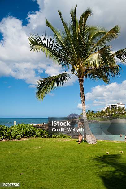 Oahu Beach Stock Photo - Download Image Now - Hotel, Adult, Beach