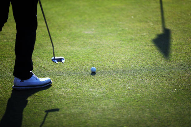 People are playing golf, grass field during golfing game, course. Focused golfer is picturesque golf course, aiming to putt near, hitting ball into hole, concentration and precision.
