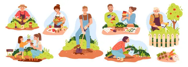 Vector illustration of Organic gardening. People of different ages work in the garden, plant and water the plants. Eco concept. Vector illustration.