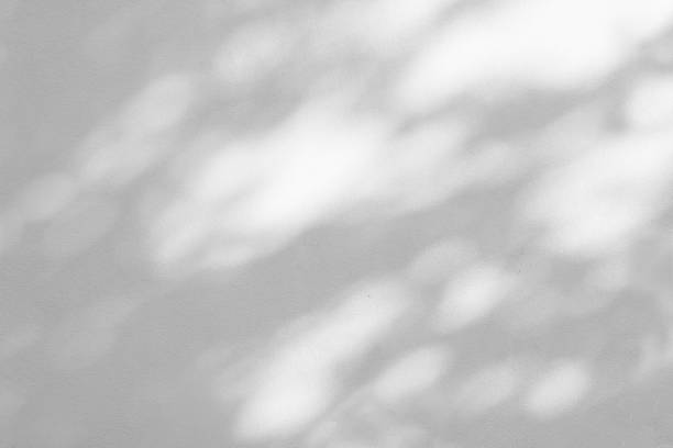 istock Shadow Of Leaves Reflected On The White Wall 1470982369