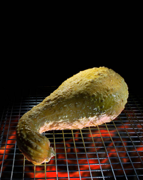 istock Copy space above a yellow squash being grilled 1470983366