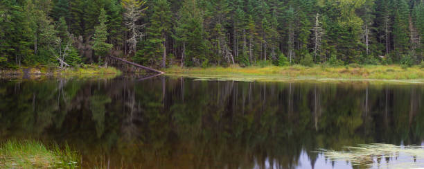 istock Early spring reflections on a Maine pond 1470983768