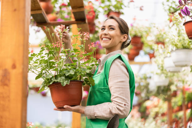 istock Greenhouse Worker With Flowers 1470983997