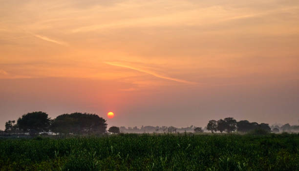istock Sunrise on the field in Mandalay, Myanmar 1470987795