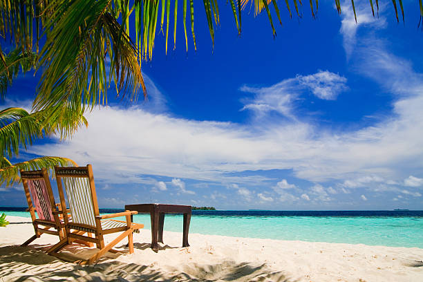 istock Maldives Tropical Paradise with Palm Trees, Beach and lounge chairs 147099056