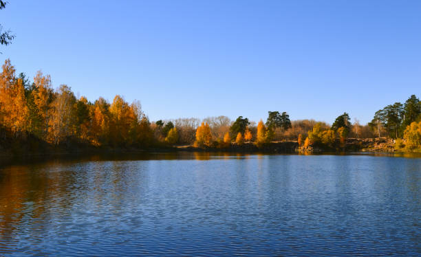 istock Autumn trees on the shore of a forest lake 1470991738