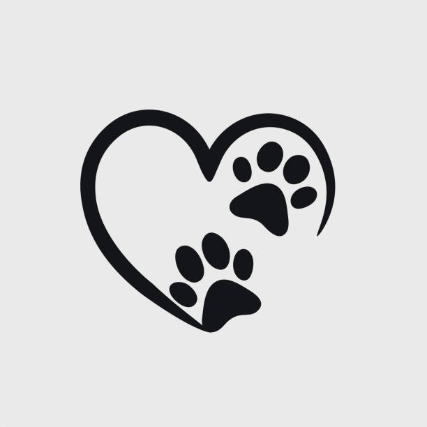 ilustraciones, imágenes clip art, dibujos animados e iconos de stock de símbolo de amor animal huella de pata con corazón, vector aislado - felino salvaje