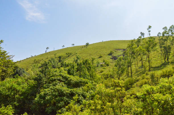 istock Kuduremukh mountain range peaks, India 1470995515