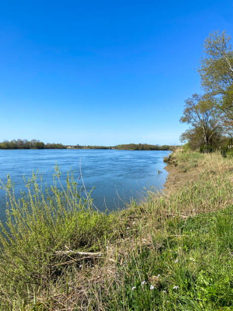 istock Garonne river near Bordeaux 1470998349