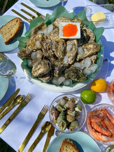 istock Seafood picnic near Bordeaux 1470998351