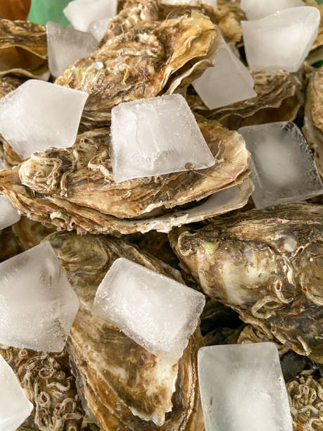 Oysters with ice, Bordeaux
