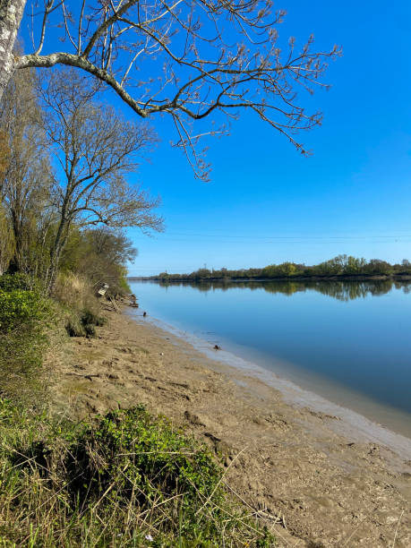 istock Garonne river near Bordeaux 1470998436