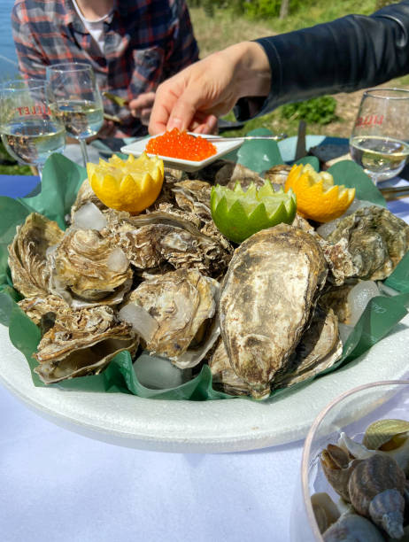 Nouvelle Aquitaine - France