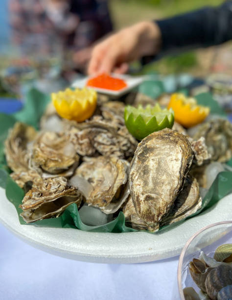 istock Seafood picnic near Bordeaux 1470998699