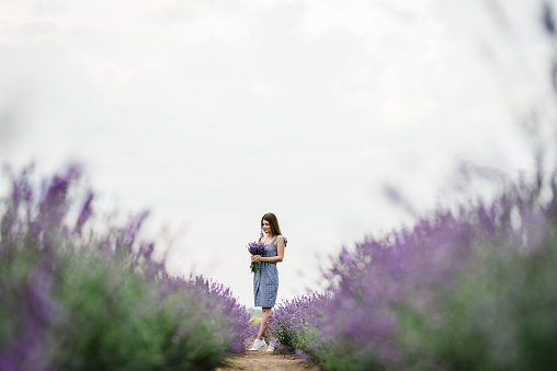 Girl holding bouquet of flowers in a purple lavender field. A beautiful woman walk on the lavender field. Female collect lavender. Enjoy the floral glade, summer nature. Natural cosmetics concept.