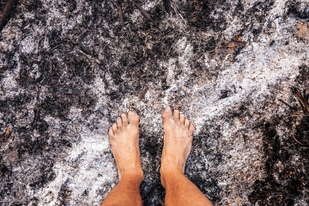 Mans bare feet standing in the ash from the aftermath of devastating bush fires ravaging a forest. East Coast, Australia.