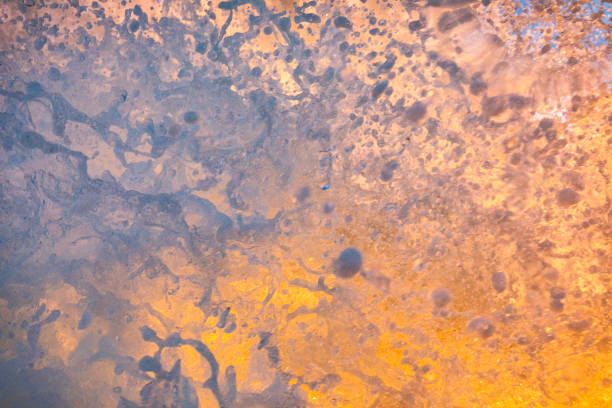 istock Powerful ocean waves erupting in early morning golden light 1471013847