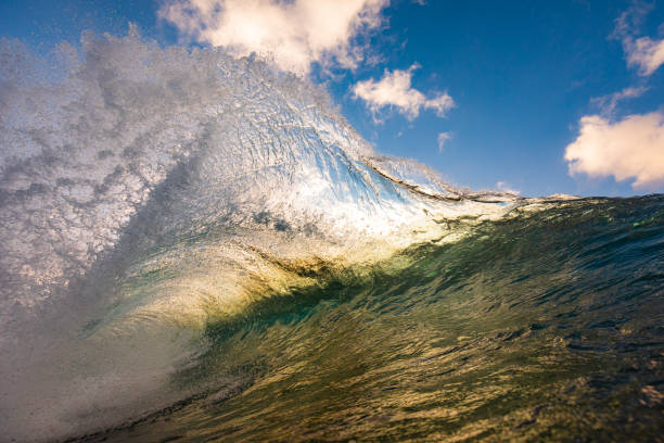 istock Unique ocean waves colliding creating pattern in early morning golden light 1471014046