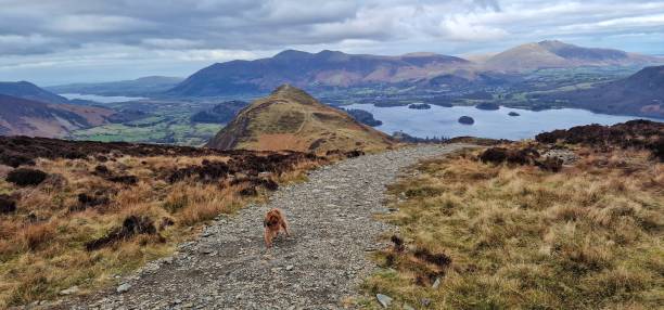 istock View of derwent water 1471016439