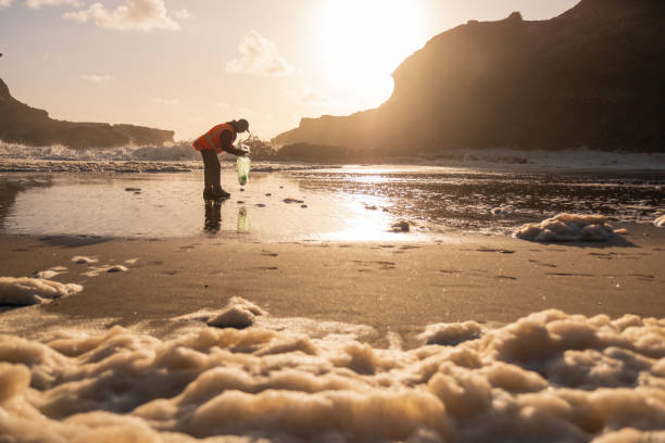 istock Environmental Event - Sunset Beach Clean at Piha 1471023366