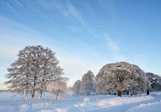 Hermoso paisaje de invierno en el parque en un día soleado, avión en el cielo azul - foto de stock