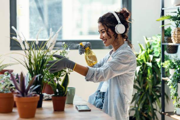 belle femme souriante arrangeant plantes et fleurs tout en écoutant de la musique dans une serre - humus soil audio photos et images de collection