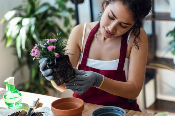 istock Influencer woman arranging plants and flowers while recording a tutorial video with smartphone in a greenhouse 1471031783