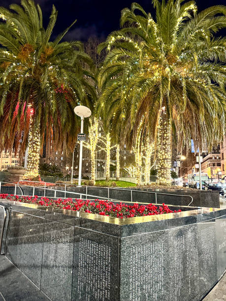 istock Amazing California palm trees wrapped in white lights 1471039677