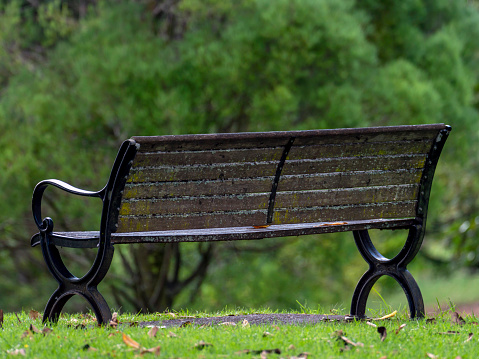 Lonely single park bench or seat in the shade of a flowering dogwood tree in the shadows of the branches