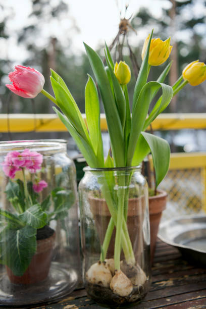 istock Flowers for the bees 1471042094