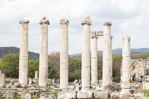 General view of the ancient city of Aphrodisias. At noon, we see cloudy weather, trees, a cat and ancient city ruins.