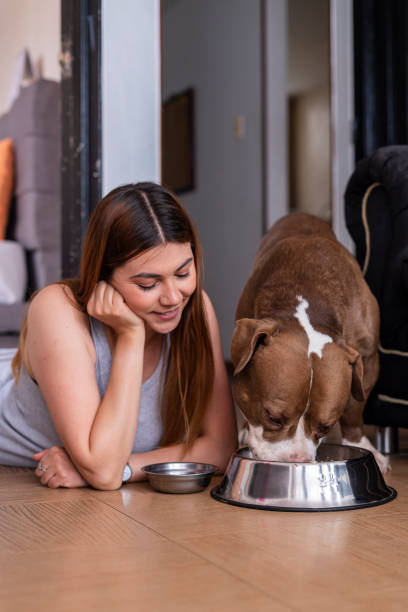 uma mulher está dentro de sua casa sentada no chão da sala com seu filhote, que ela alimenta com seus pratos. - dog multi ethnic group people one person - fotografias e filmes do acervo