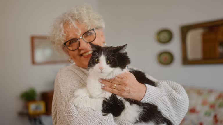 SLO MO Portrait video of an Elderly Lady Cuddling her Cat