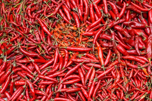 chillis red green peppers and cook for sale
