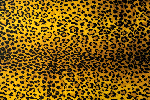 Leopard Background With Black Spots With A Yellow Tint Closeup Stock ...