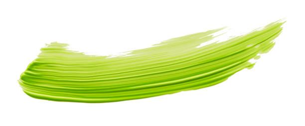 Lime green brush isolated on white background. lime green brush