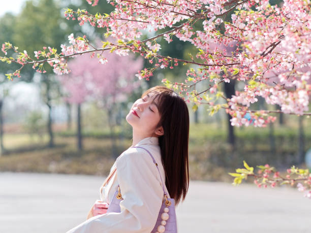 portrait en plein air de belle mode jeune fille chinoise posant les yeux fermés avec des fleurs de cerisier en fleur fond dans le jardin de printemps, la beauté, l’été, l’émotion, le style de vie, l’expression et le concept de personnes. - cherry blossom flower head spring flower photos et images de collection