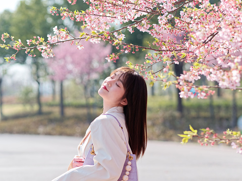 Outdoor portrait of beautiful fashion young Chinese girl posing eyes closed with blossom cherry flowers background in spring garden, beauty, summer, emotion, lifestyle, expression and people concept.