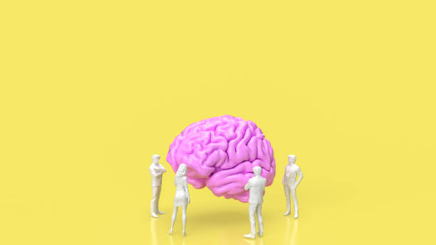 istock The people and brain on yellow background for creative or teamwork concept 3d rendering 1471096615