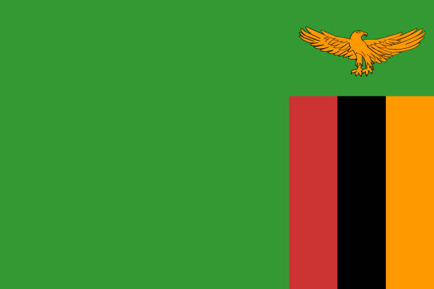 Zambia Republic of Zambia national flag
vector illustration zambia flag stock illustrations
