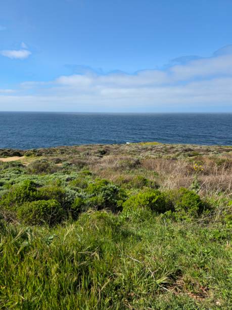 istock Green hill and clam ocean 1471097984