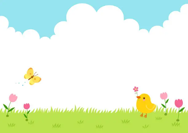 Vector illustration of A baby chick and a yellow butterfly in a field of tulip flowers.Spring nature background.