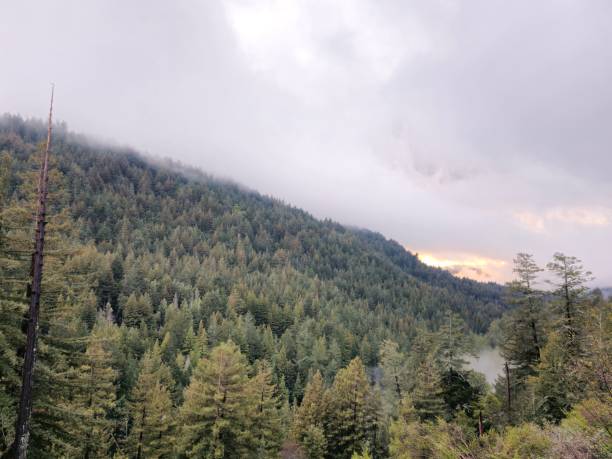 istock Fog and mountains in winter 1471111719