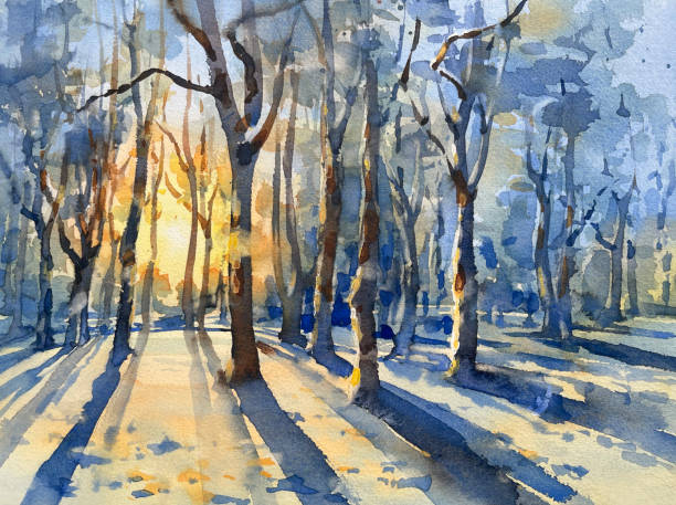 ilustraciones, imágenes clip art, dibujos animados e iconos de stock de mañana de invierno en el paisaje de acuarela del bosque - winter sunlight sun january