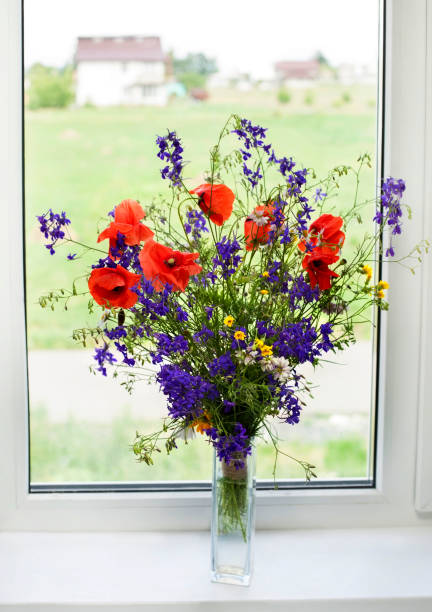 istock Bouquet of wildflowers on a plastic window 1471121259