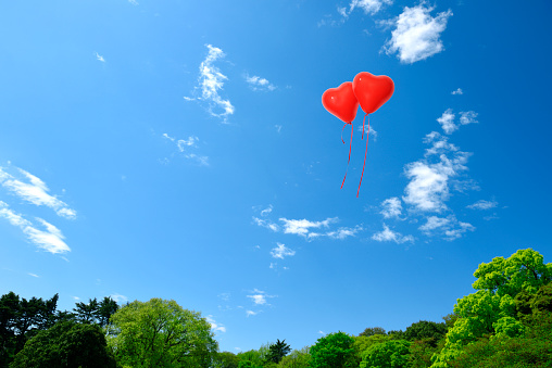 Two red heart-shaped balloons flying in a blue sky with copy space.