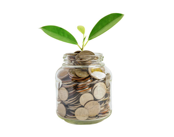 녹색 잎 식물 저축 돈 동전, 비즈니스 금융 저축 은행 투자 개념. - jar coin currency glass 뉴스 사진 이미지