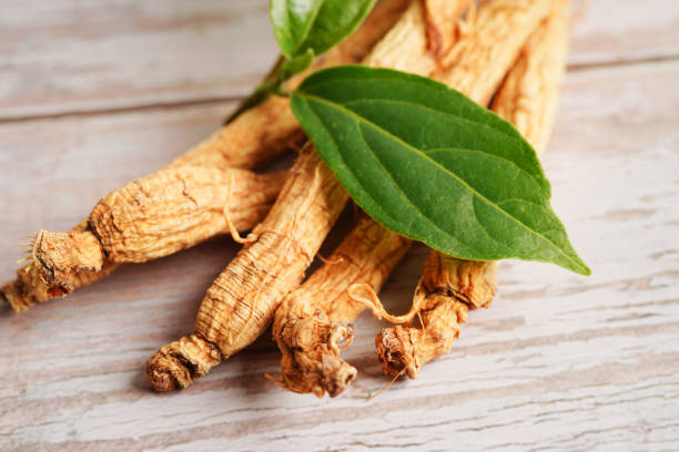 istock Ginseng roots and green leaf, healthy food. 1471133547
