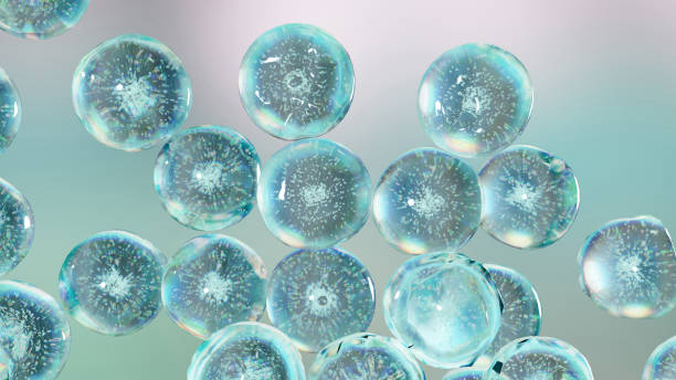 istock essential Oil Bubbles for cosmetics in water. blue liquid bubbles, fluid flow. Collagen, atoms floating, Moisturizing Cream, Skin Serum, Vitamin, beauty concept, 3d render 1471145599
